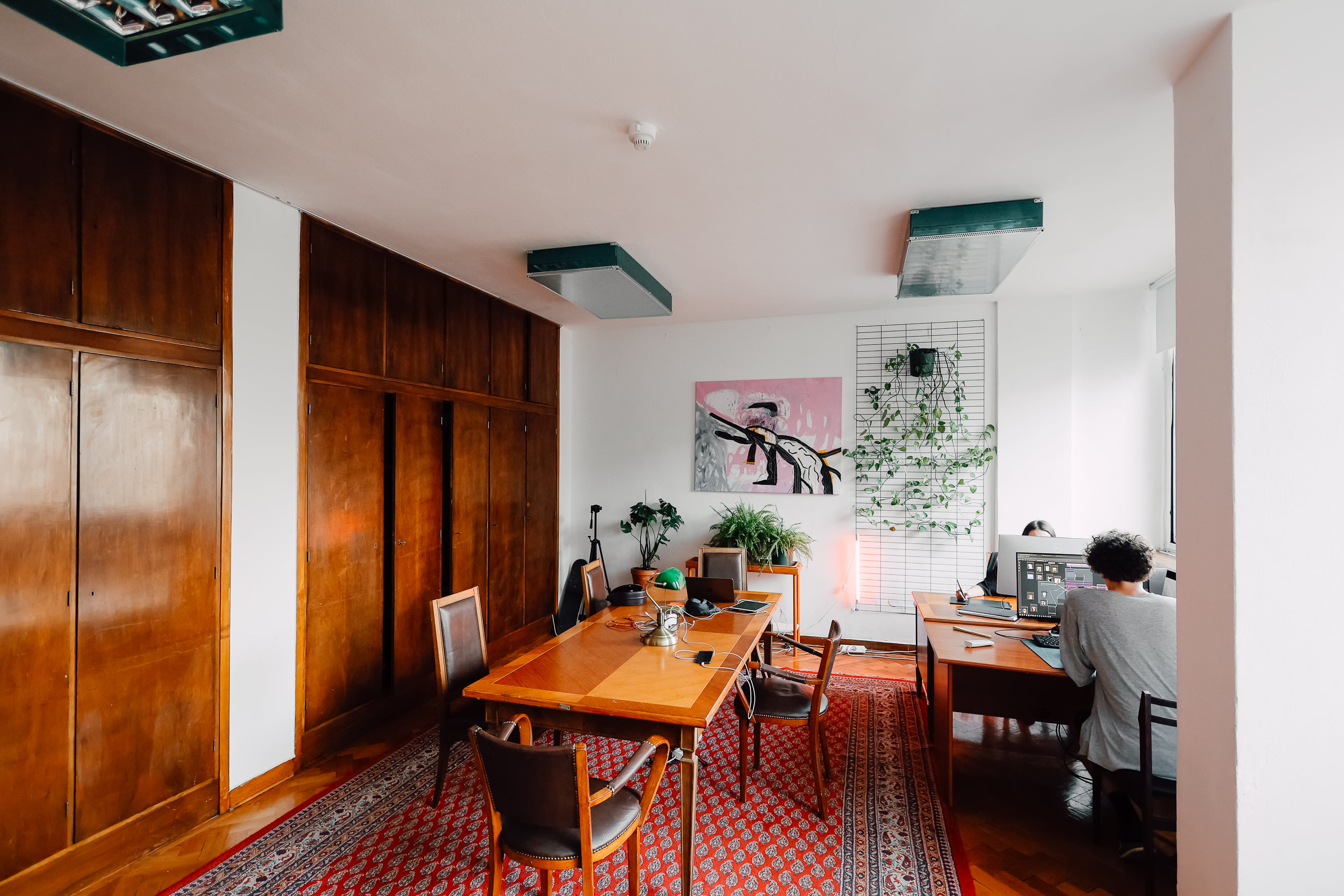 close-up of pine needles