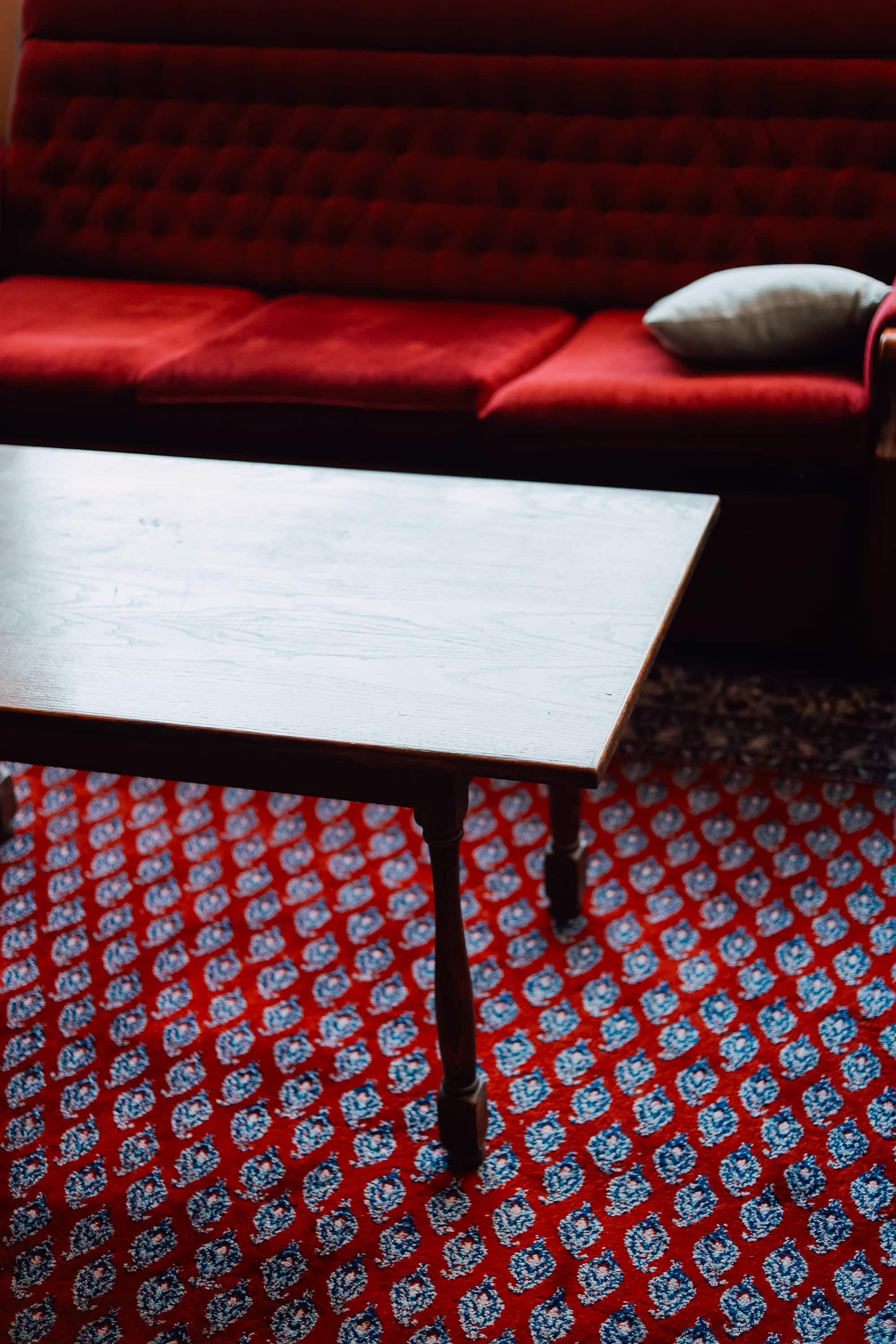 close-up of pine needles