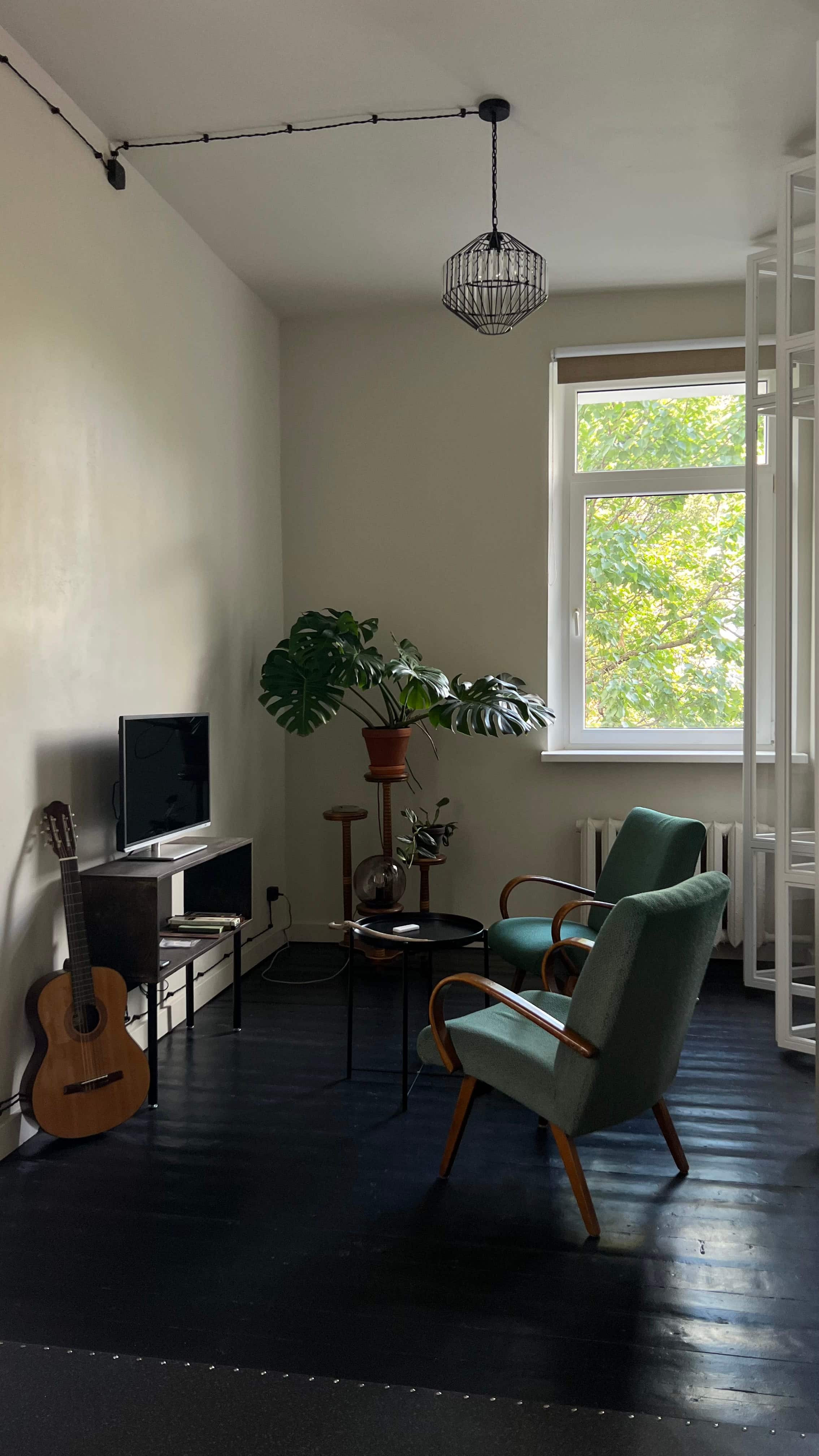 pool in green garden